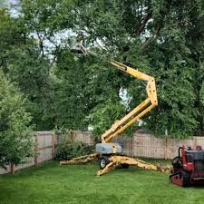 Best Leaf Removal  in Muhlenberg Rk, PA